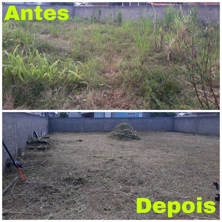Antes e depois de limpeza de terreno em Lins/SP — transformação de área com mato alto para terreno completamente limpo